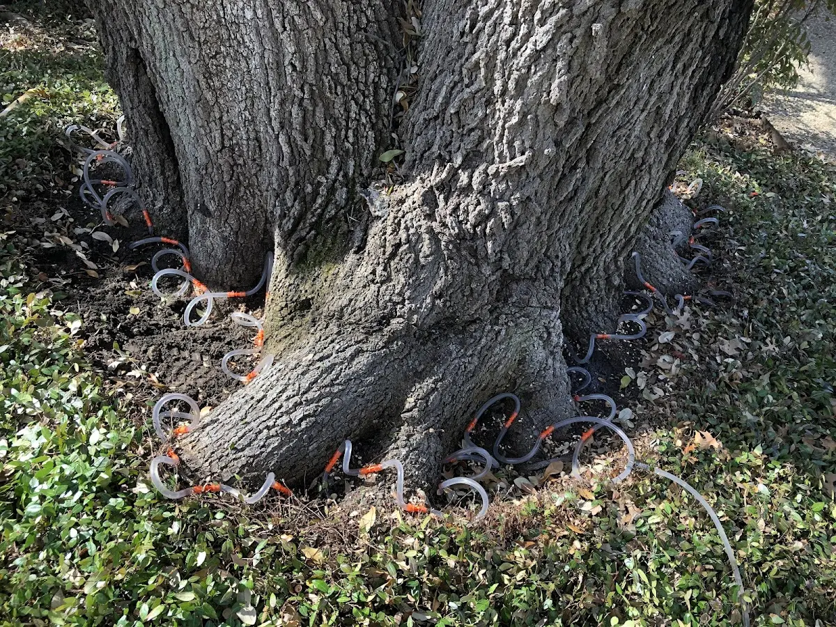 Detailed Shrub and Hedge Trimming job site in Goltry