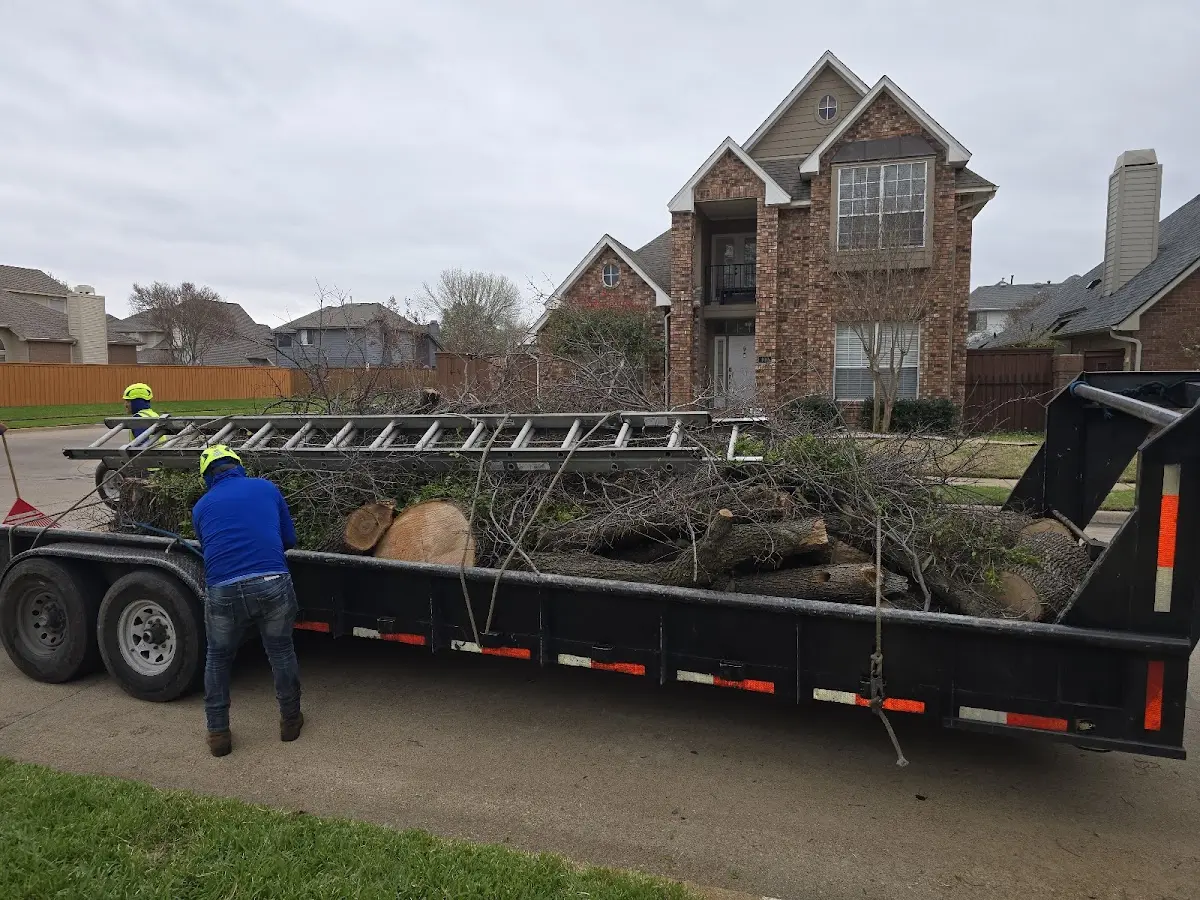 Expert Lot Clearing with proper safety equipment in Goltry